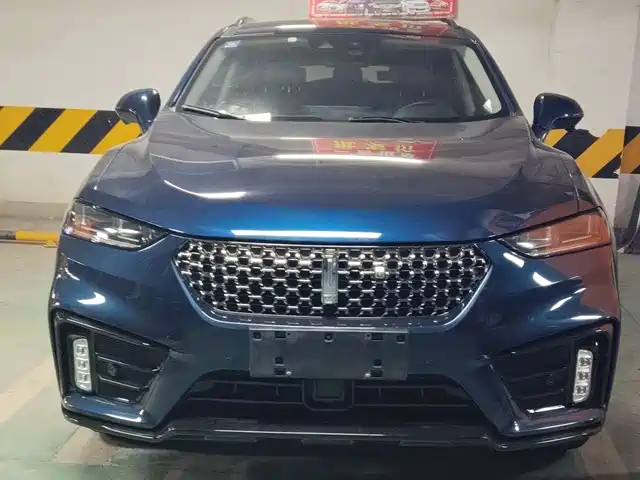 WEI PAI WEI BRAND VV7 2020