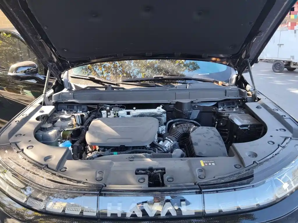 Haval Xiaolong MAX — миниатюра 16