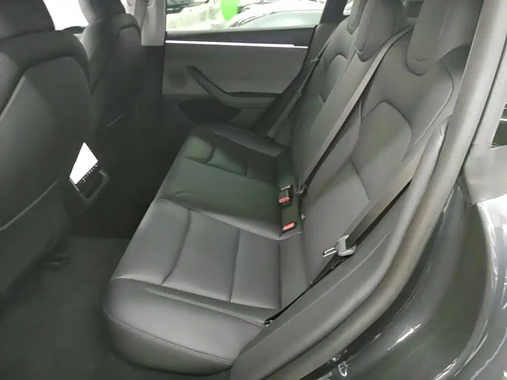 Tesla Model 3 — миниатюра 17