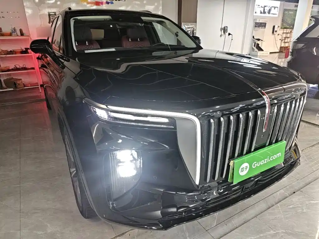 Hongqi Hongqi E-HS9 — миниатюра 4