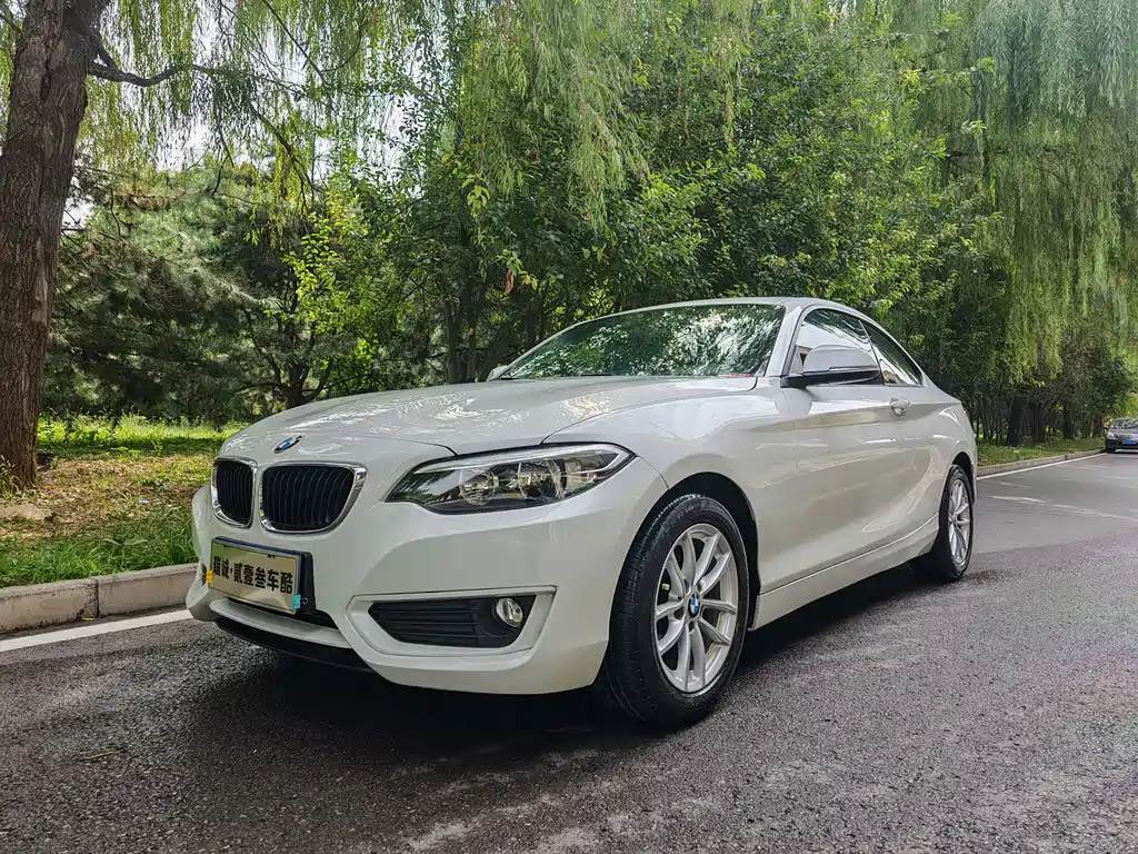 BMW 2 Series (Import) 2016