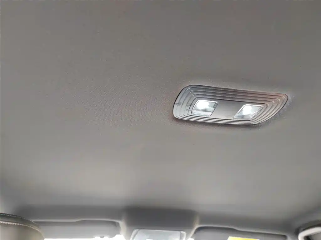 BYD Qin Plus PLUS 2025 DM-i Smart Drive 55KM Lead