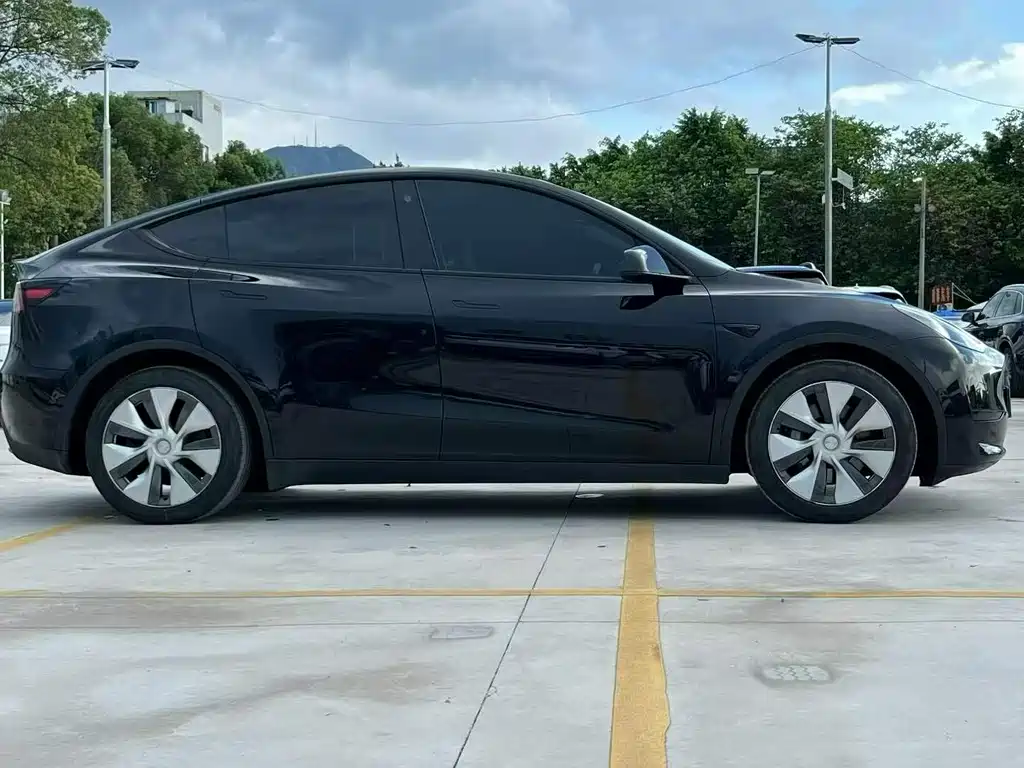 Tesla Model Y — миниатюра 9