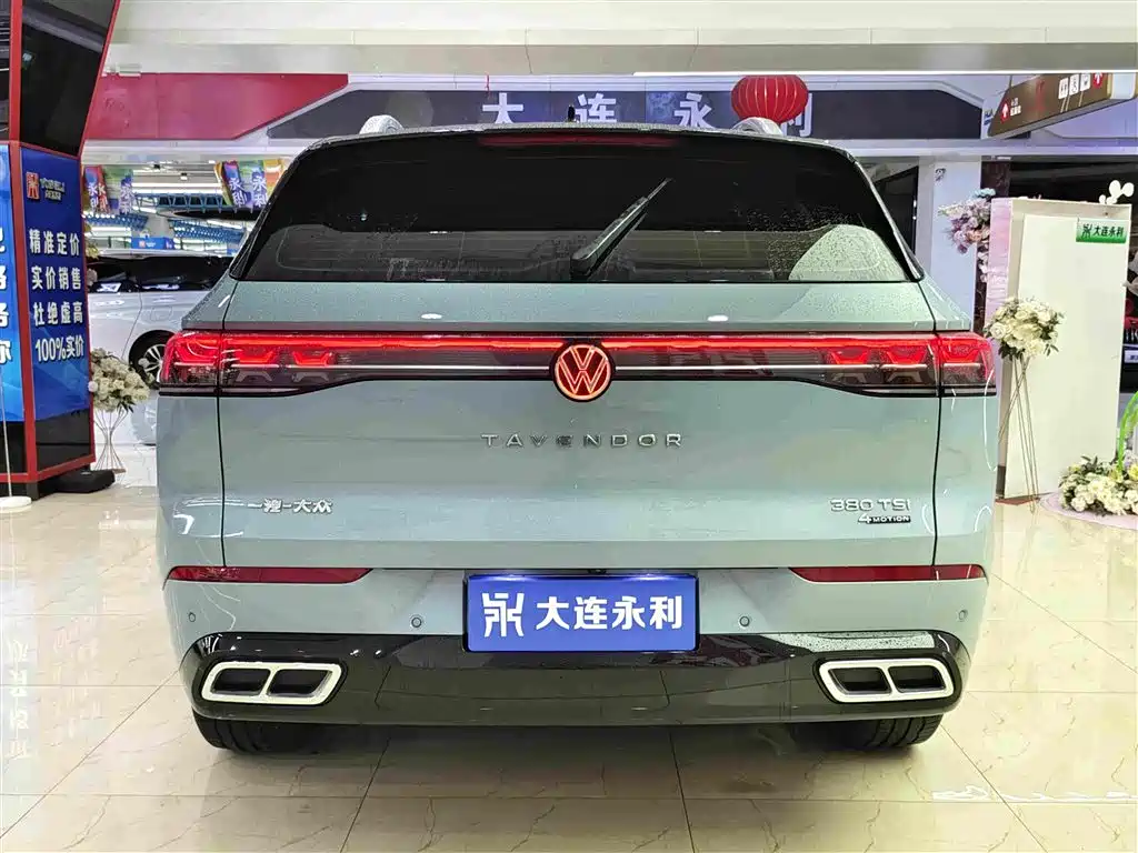 Volkswagen Tavendor — миниатюра 5