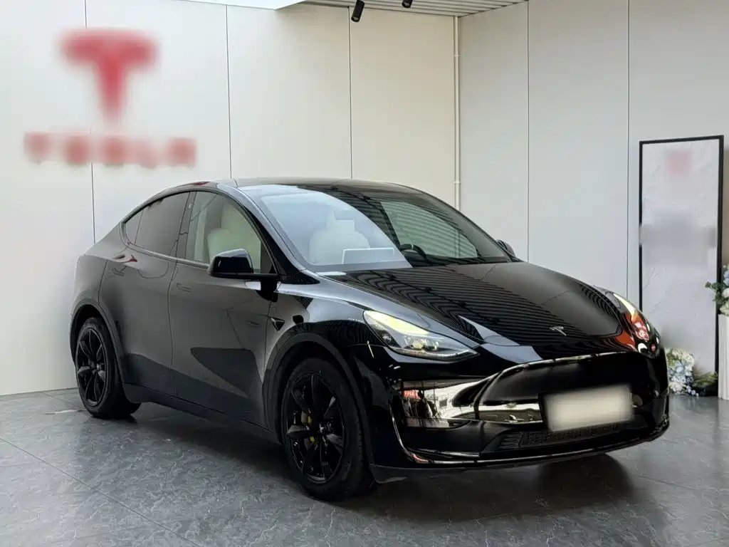 Tesla Model Y — фотографии объявления, Фото 5