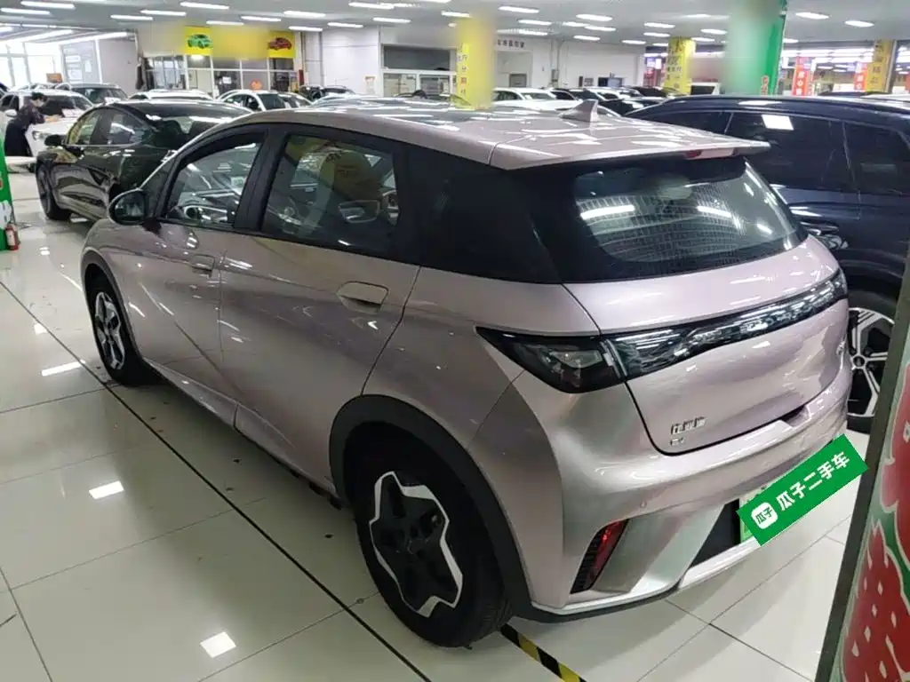 BYD Dolphin — миниатюра 5