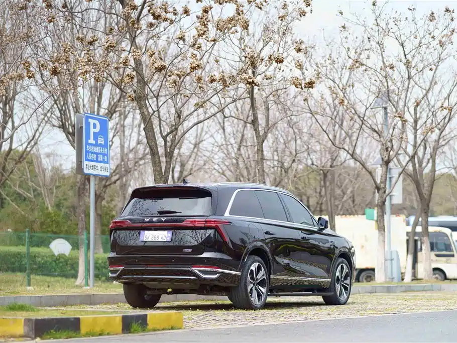 WEI PAI WEI BRAND BLUE MOUNTAIN