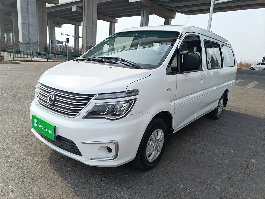 Fengxing Lingzhi 2019