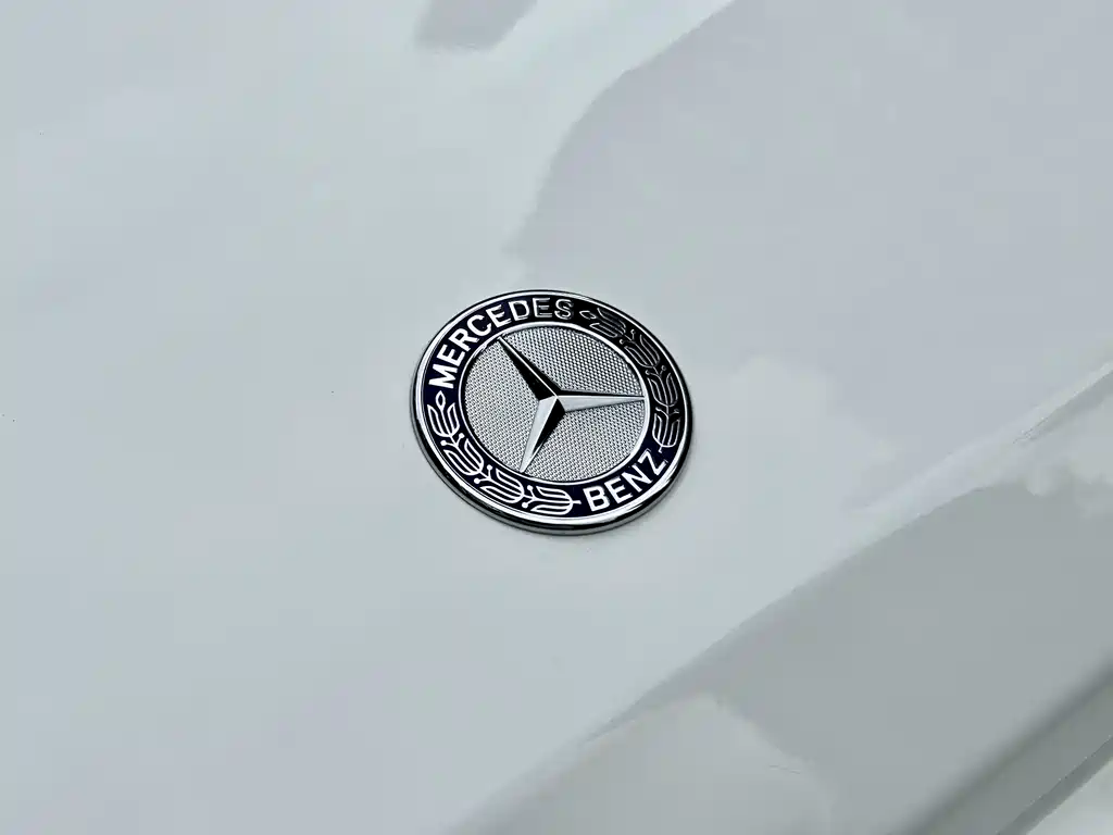 MERCEDES-BENZ G CLASS