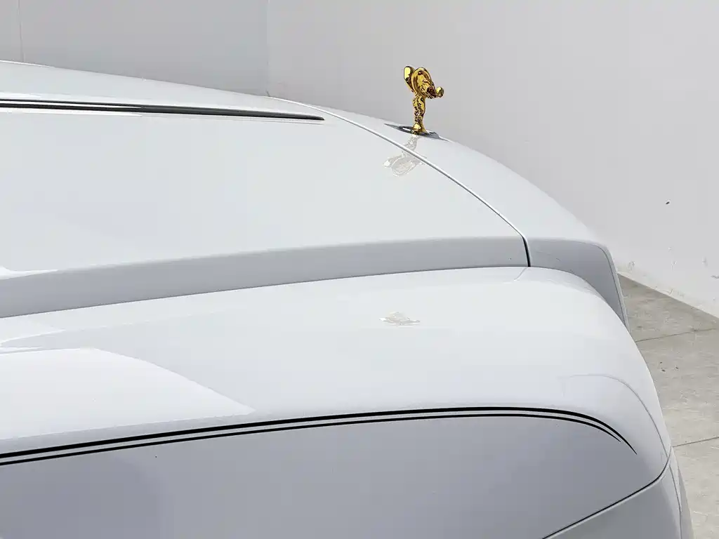 Rolls-Royce Dawn 6.6T Standard Type, фото 24