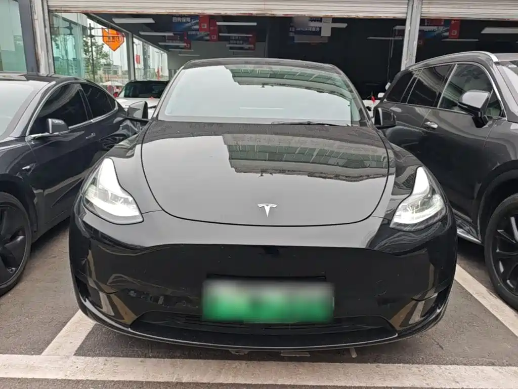Tesla Model Y — миниатюра 3