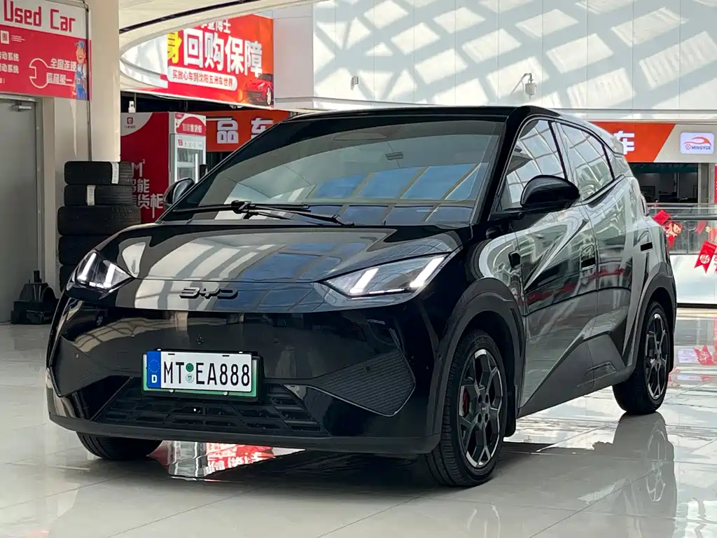 Byd Seagull 2025