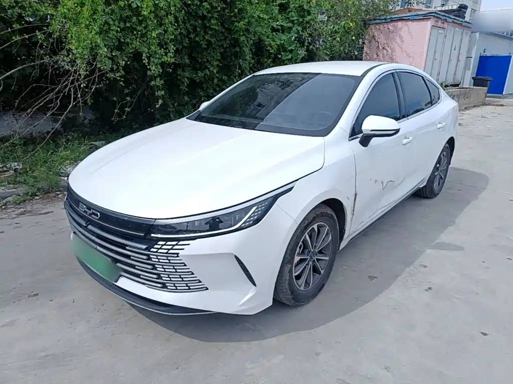 BYD Destroyer 05 — миниатюра 2