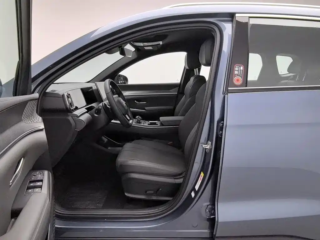 BYD Pro New Energy — миниатюра 10