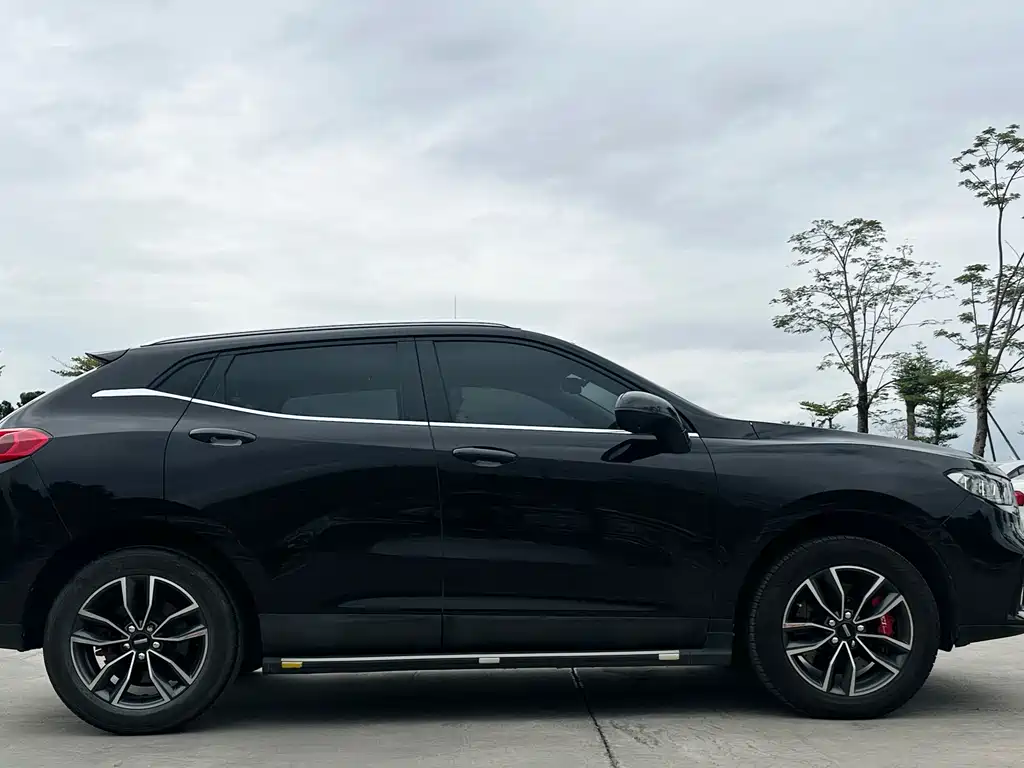 WEI PAI WEI BRAND VV5