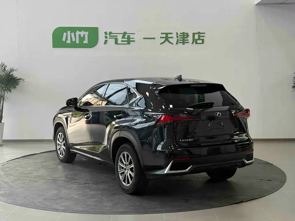 Lexus NX — миниатюра 7