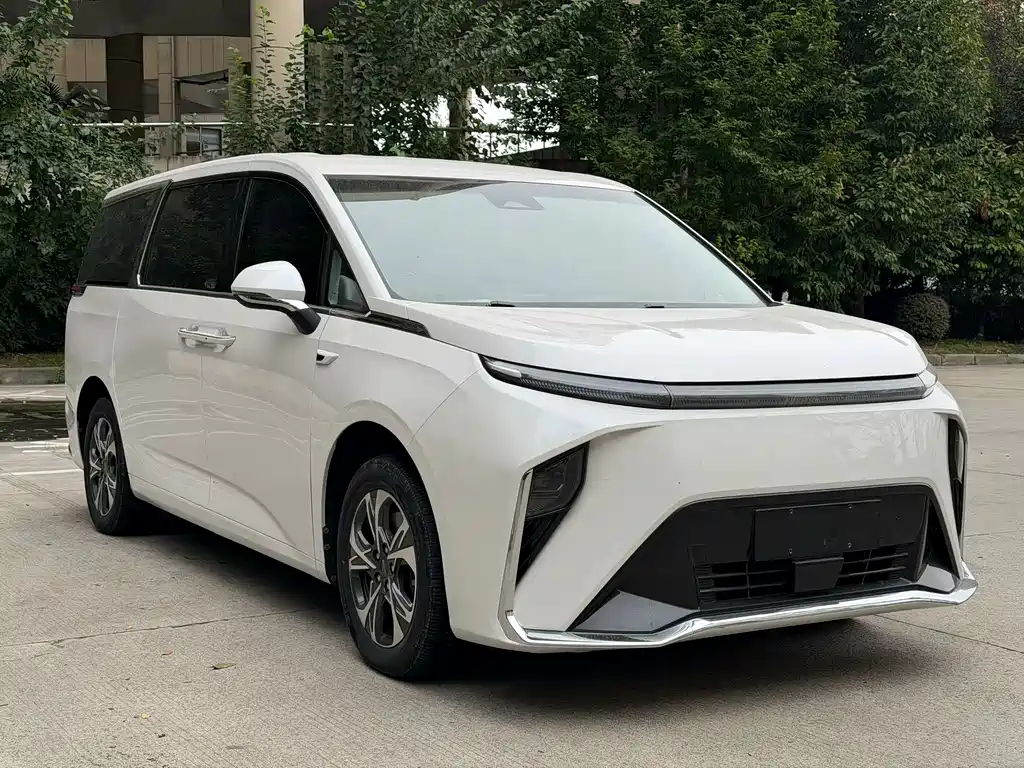 MAXUS Dajia 9 — миниатюра 3