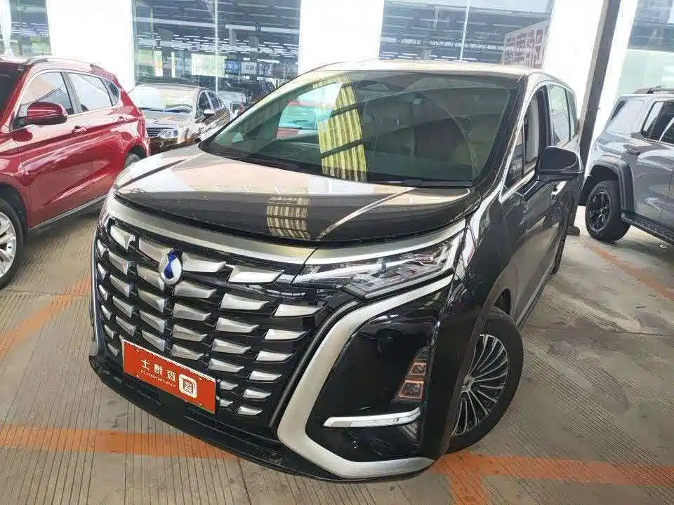 Denza Denza D9