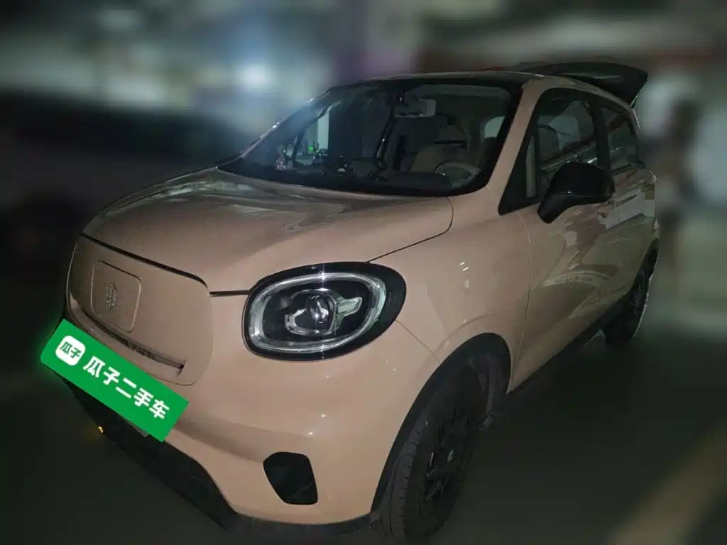 Leapmotor T03 2023 310
