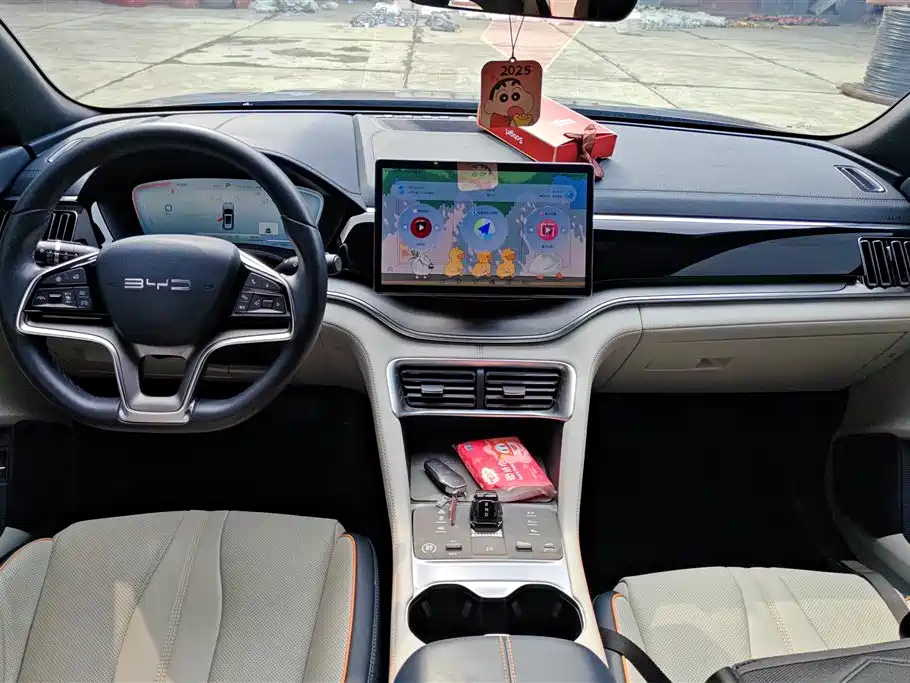 BYD SONGJIANG NEW ENERGY