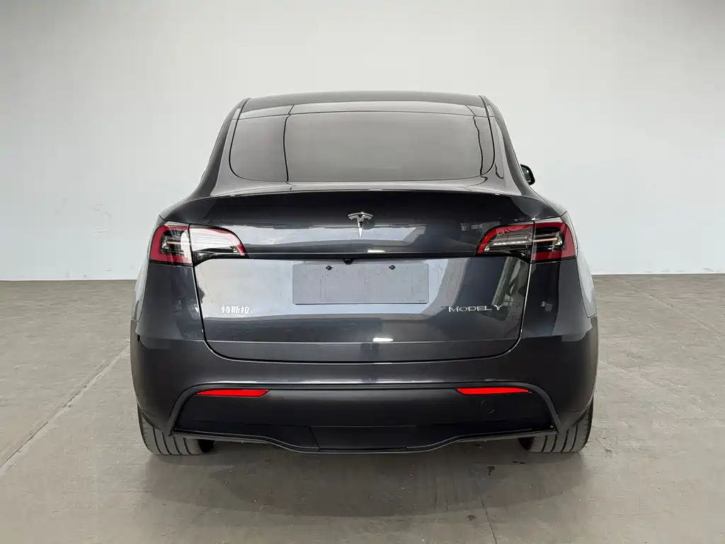 Tesla Model Y — миниатюра 6