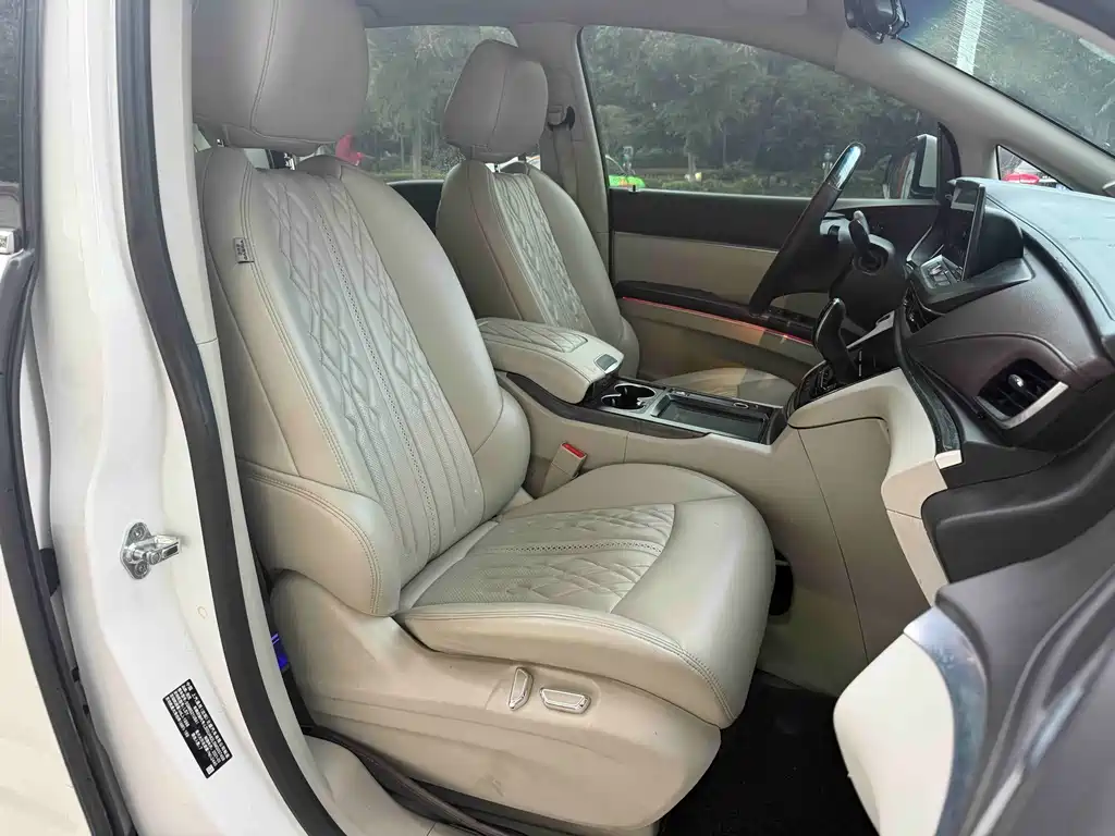 Buick GL8 — миниатюра 16