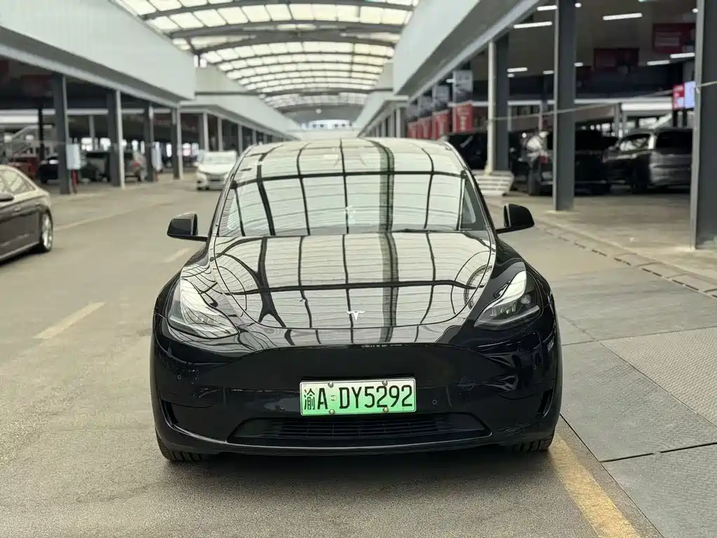 Tesla Model Y — миниатюра 2