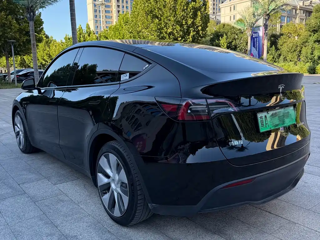 Tesla Model Y — миниатюра 4
