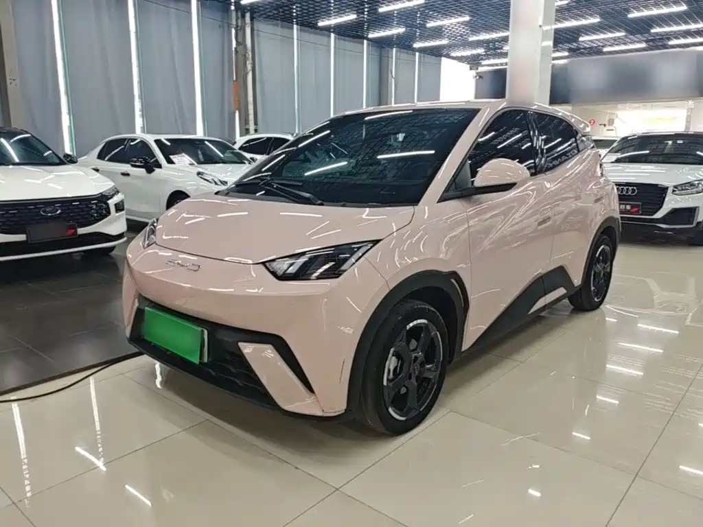 BYD Seagull