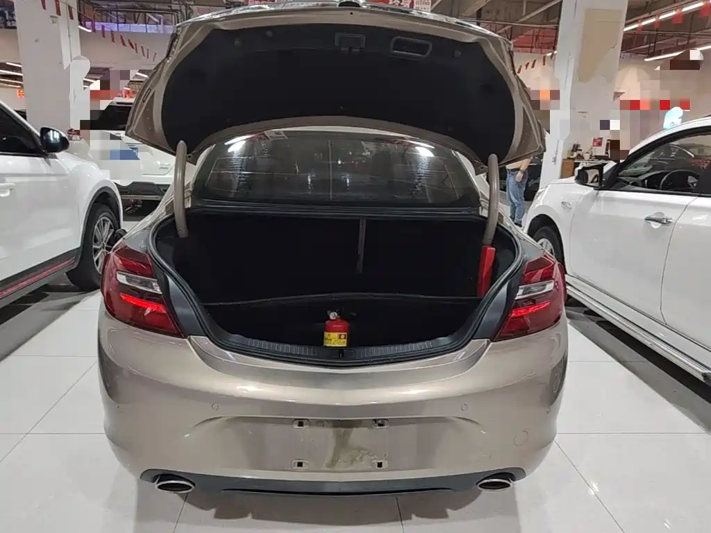 Buick Regal — миниатюра 19