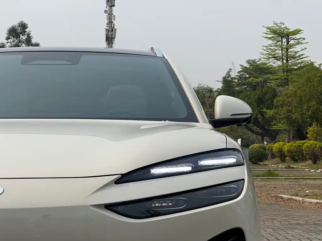 BYD SEA LION 06 NEW ENERGY