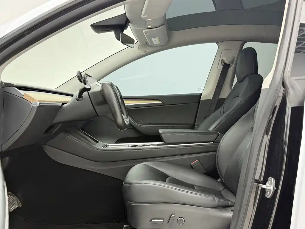 Tesla Model Y — миниатюра 5