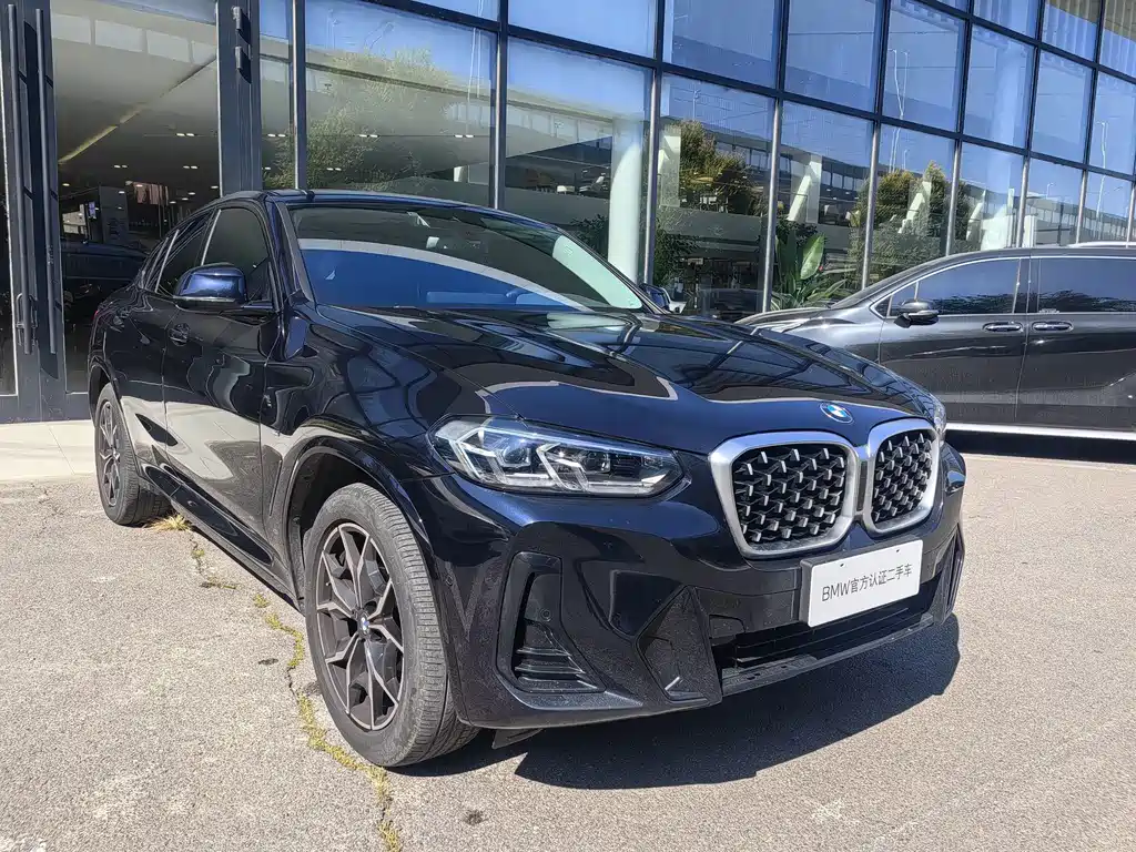 BMW X4 — миниатюра 3