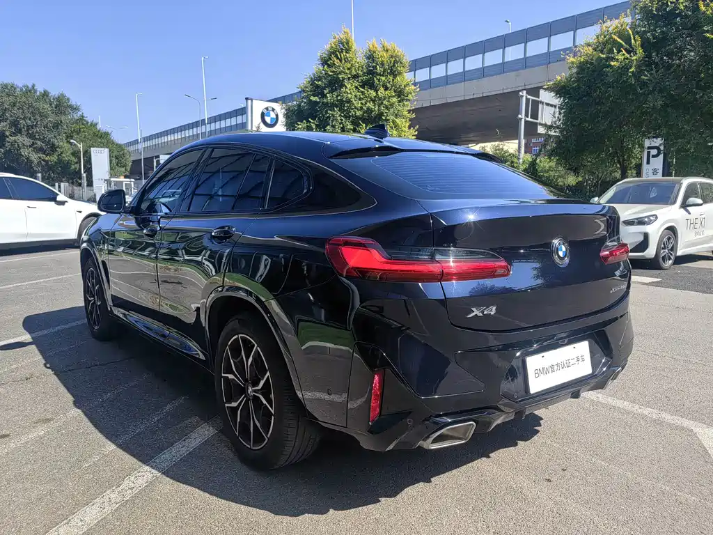 BMW X4 — миниатюра 8