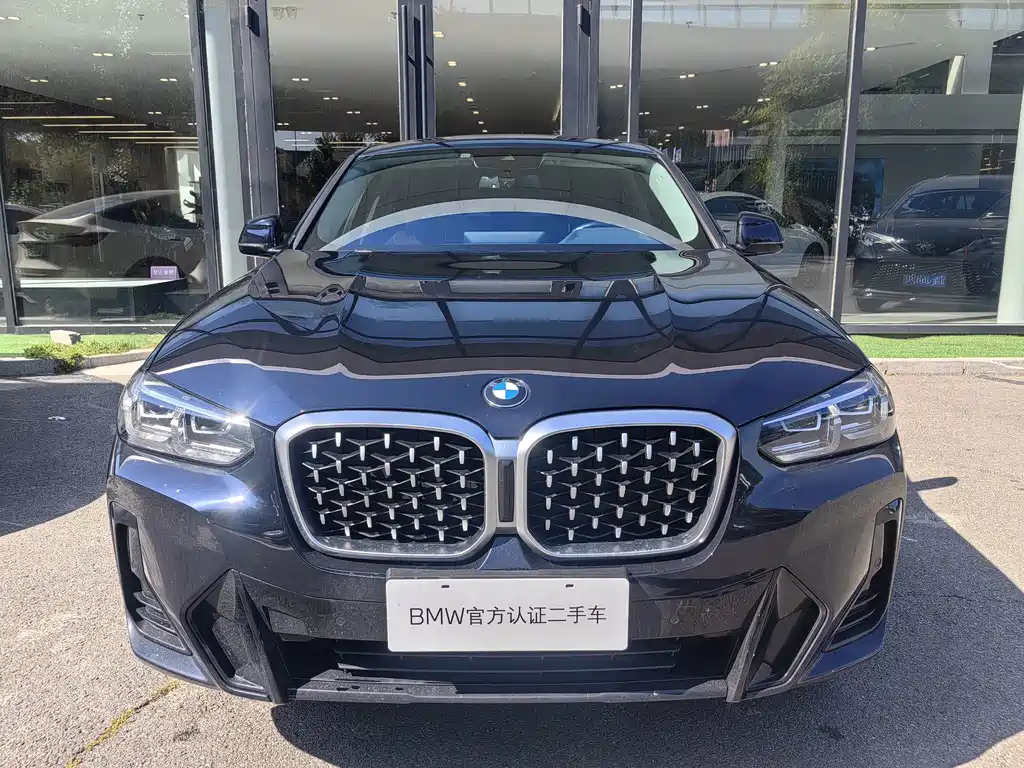 BMW X4 — миниатюра 2