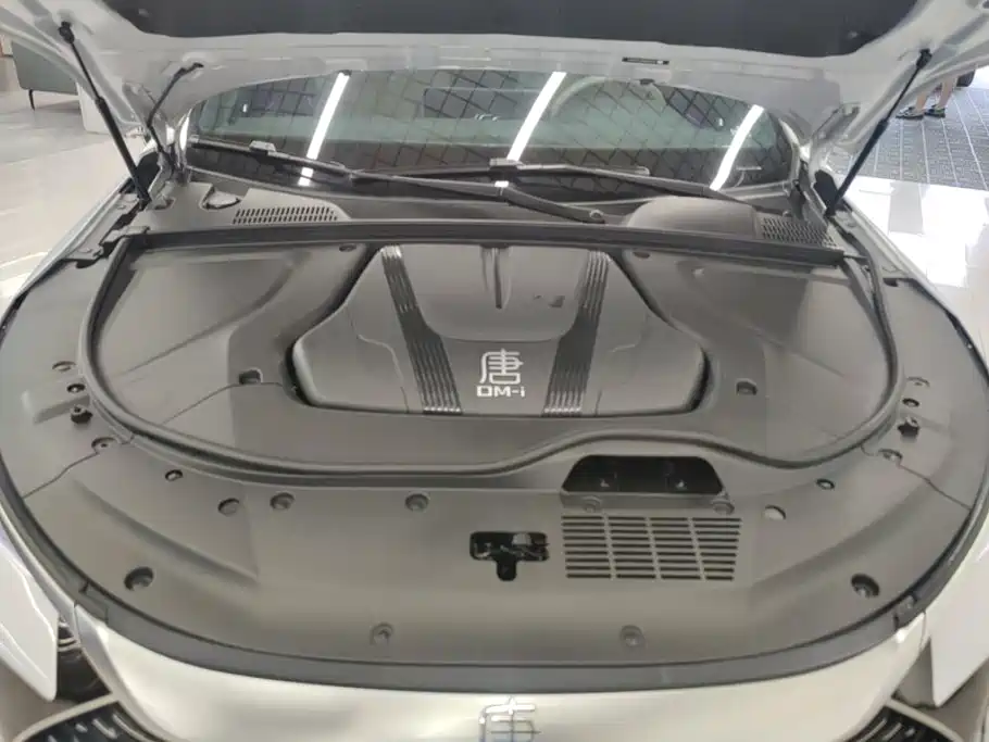 BYD Tang DM - фото 10