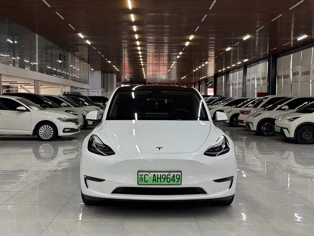 Tesla Model Y — миниатюра 2