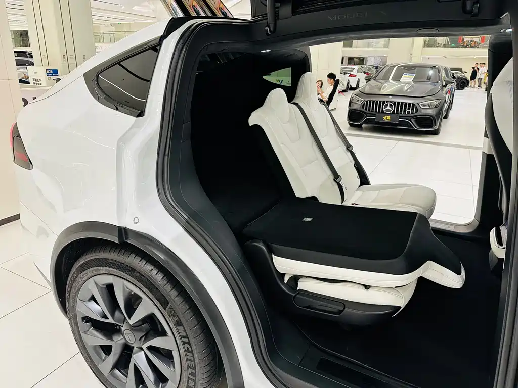 Tesla Model X — миниатюра 22