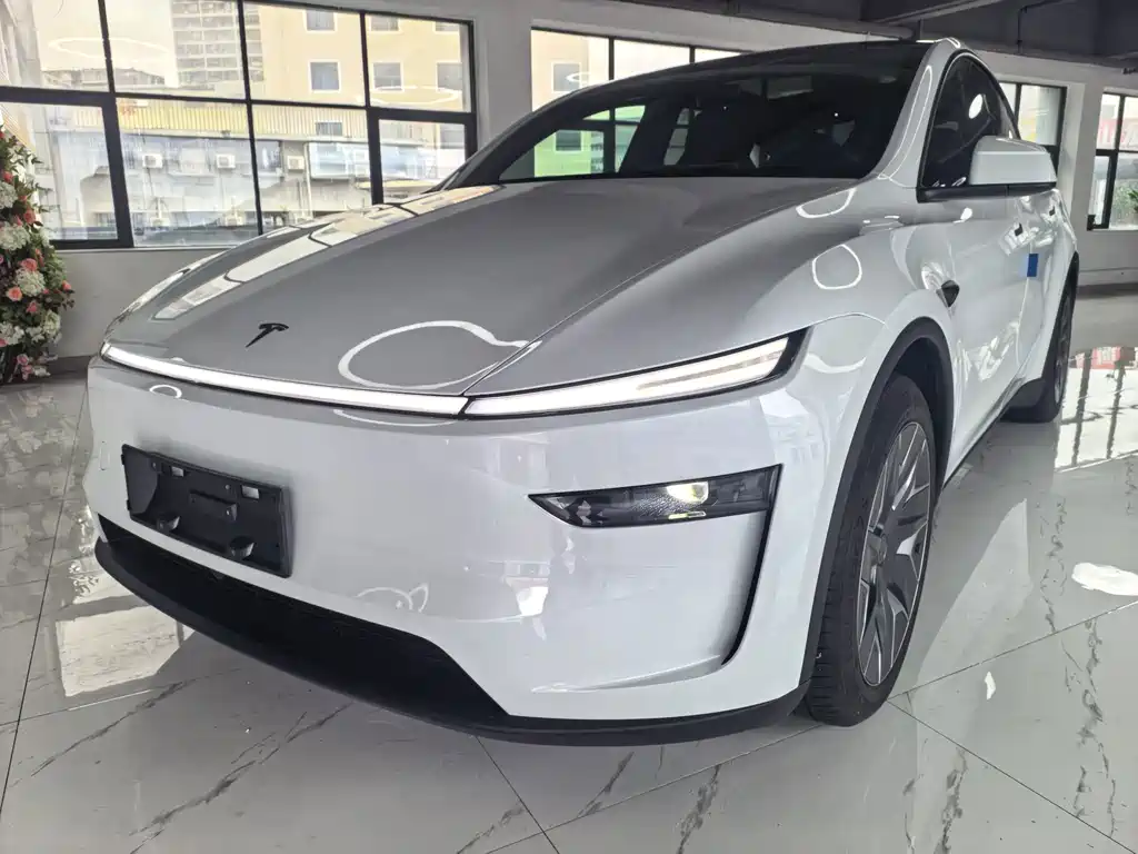 Tesla Model Y L