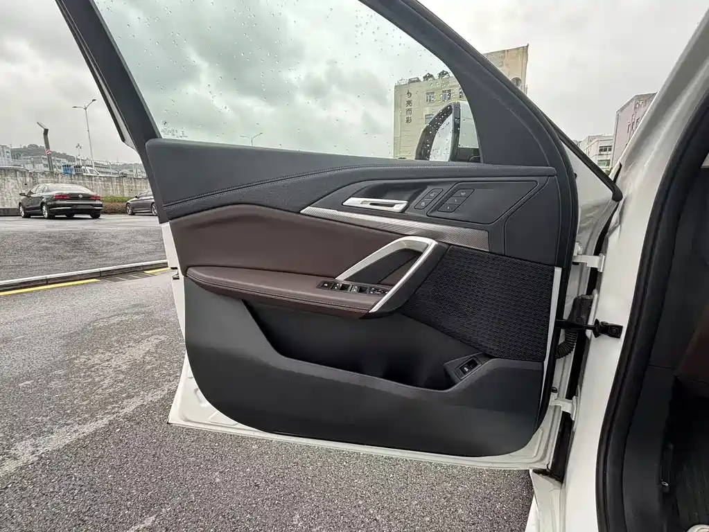 BMW X2 (Import) — миниатюра 19