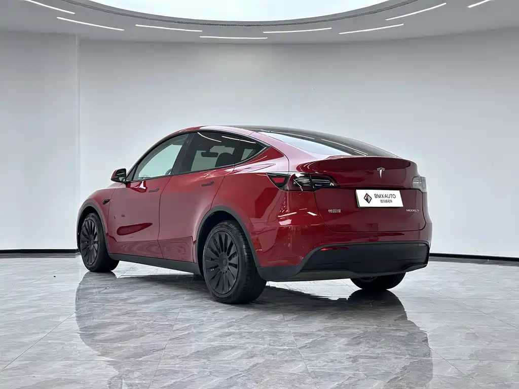 Tesla Model Y — миниатюра 6