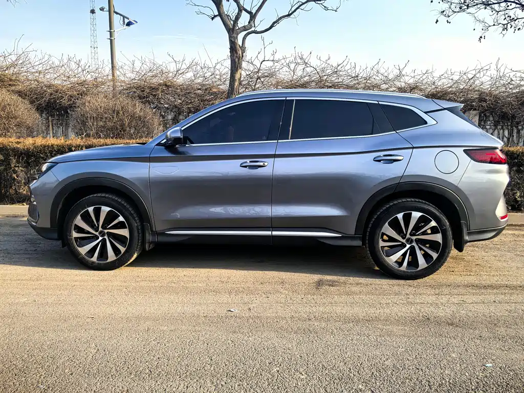 BYD SONGJIANG NEW ENERGY