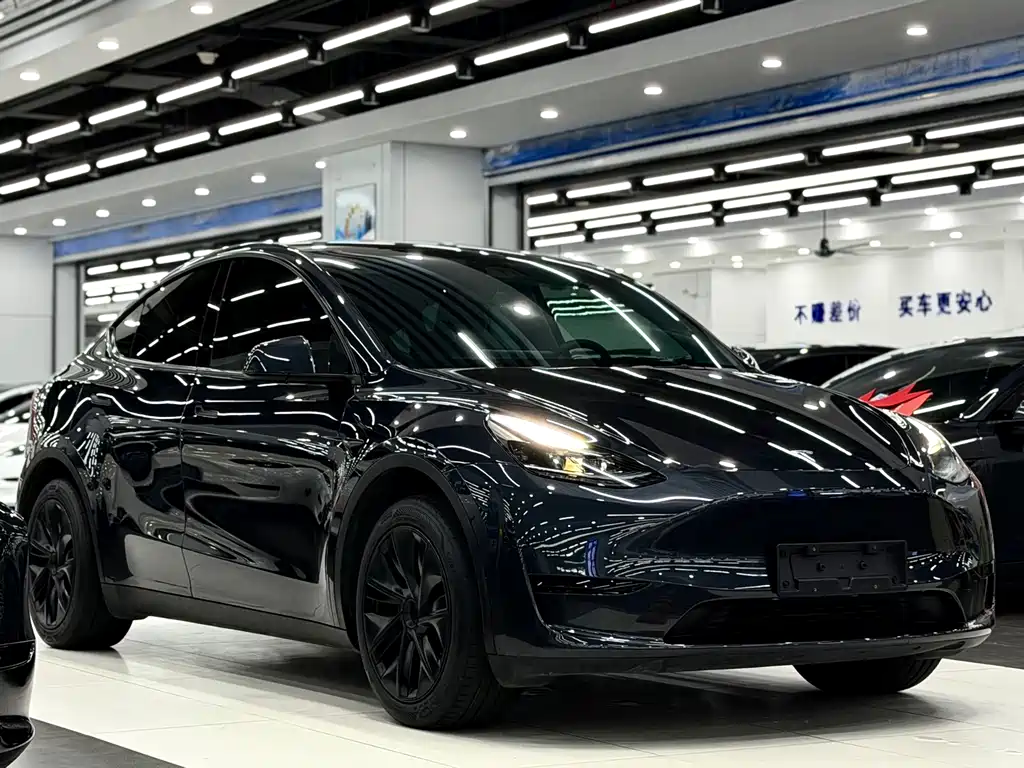 Tesla Model Y — миниатюра 3