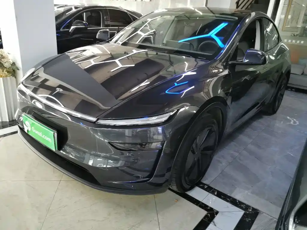 Tesla Model Y — миниатюра 2