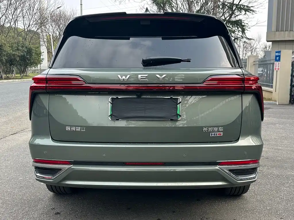 WEI PAI WEI BRAND BLUE MOUNTAIN