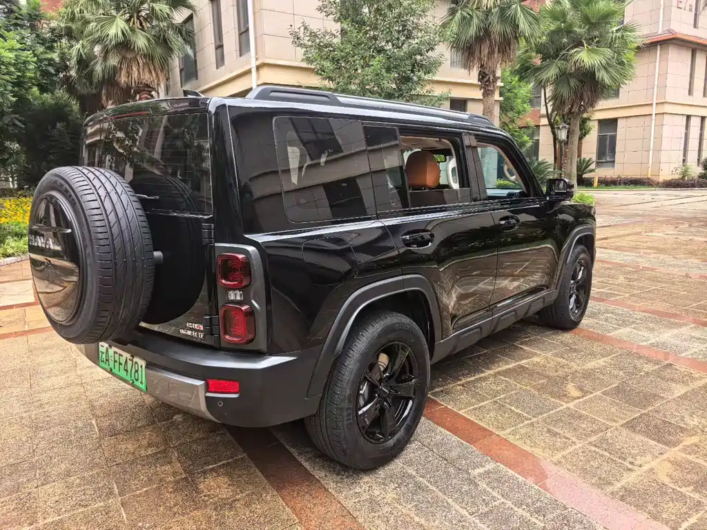 Haval Menglong New Energy — миниатюра 3