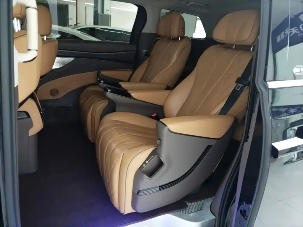 Denza Denza D9 — миниатюра 17