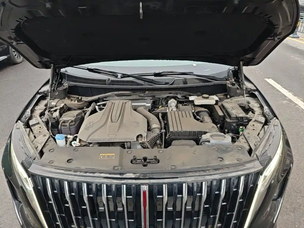 Hongqi Hongqi HS7 PHEV — миниатюра 20