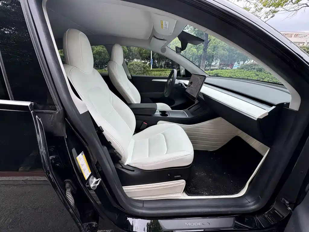 Tesla Model Y — миниатюра 7