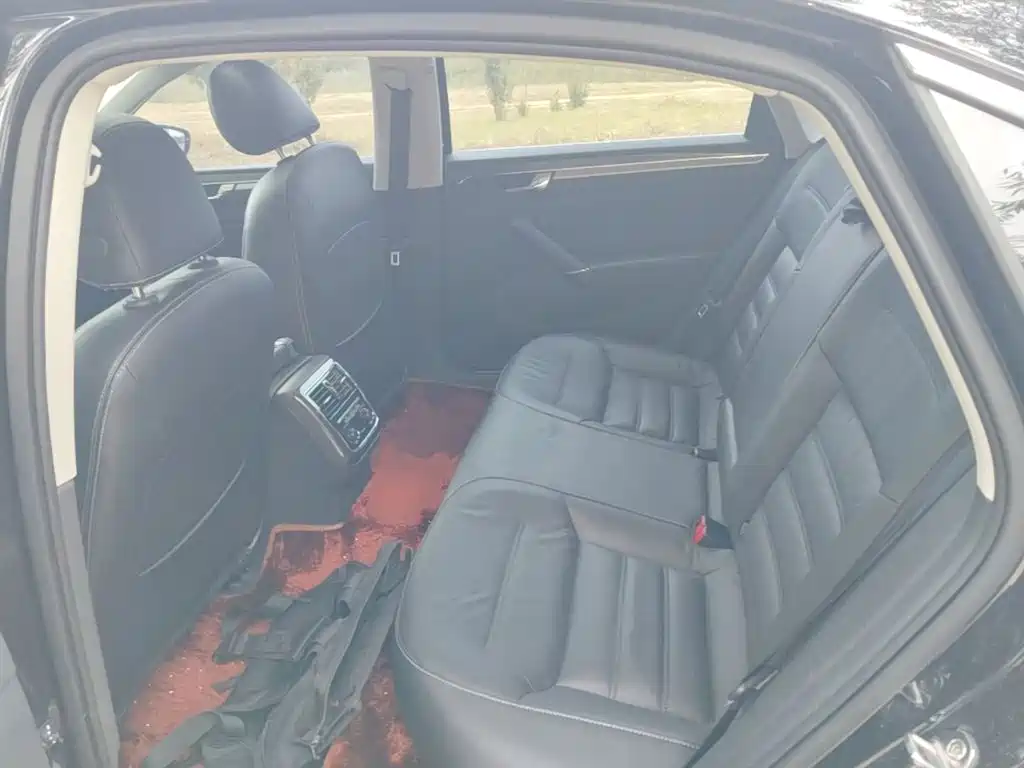 Volkswagen Passat — миниатюра 17
